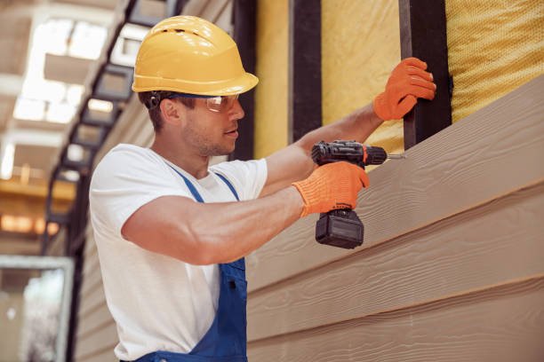 Best Custom Siding Design  in Gardnerville Ranchos, NV